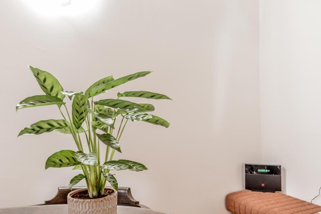 Casa Ghetto 13 Lägenhet Rom Exteriör bild